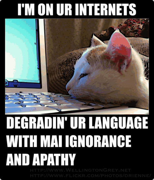 lolcat ignorance and apathy on the web